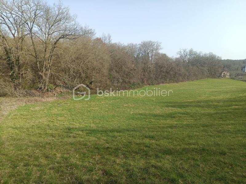 Terrain - 14 982 m²