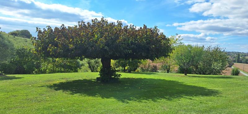 Maison - 198 m² - 7 pièces