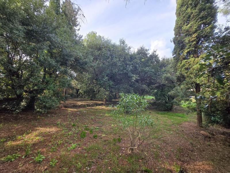 Terrain constructible - 2 000 m²