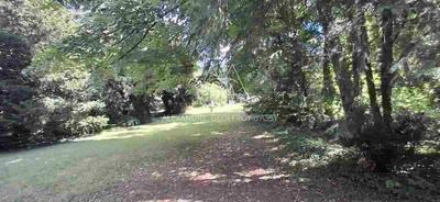 Château - 1 000 m² - 18 pièces