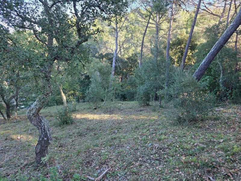 Terrain - 1 500 m²