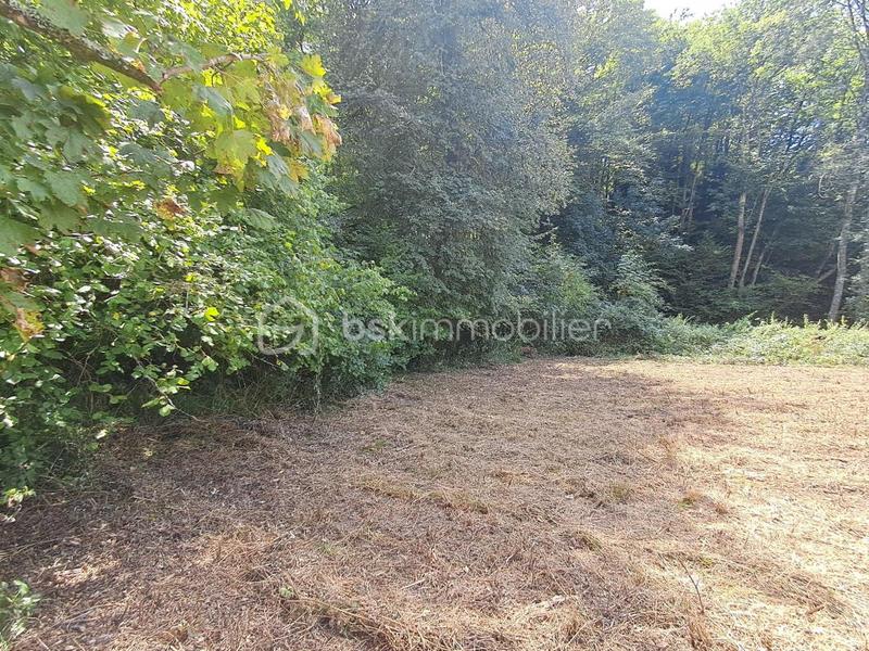Terrain - 1 150 m²