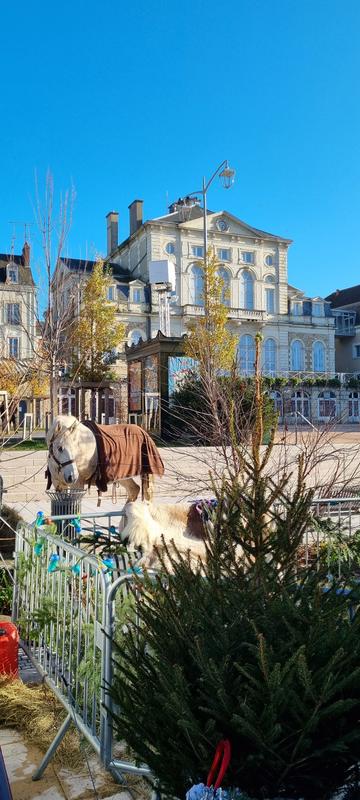 Marché de Noël de Nogent le Rotrou