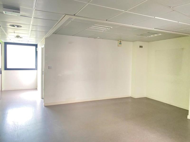 Bureau - 248 m²