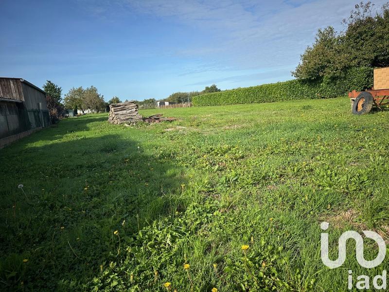 Terrain - 560 m²