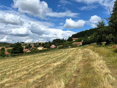 Terrain constructible - 1 033 m²