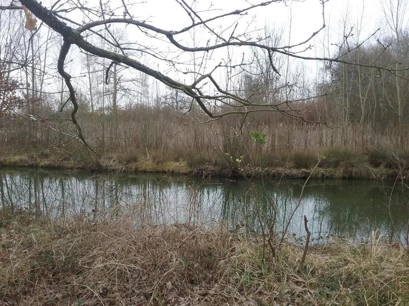 Terrain - 15 500 m²