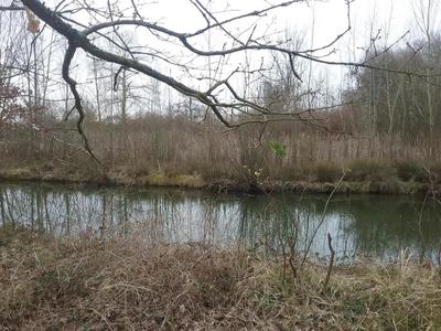 Terrain - 15 500 m²