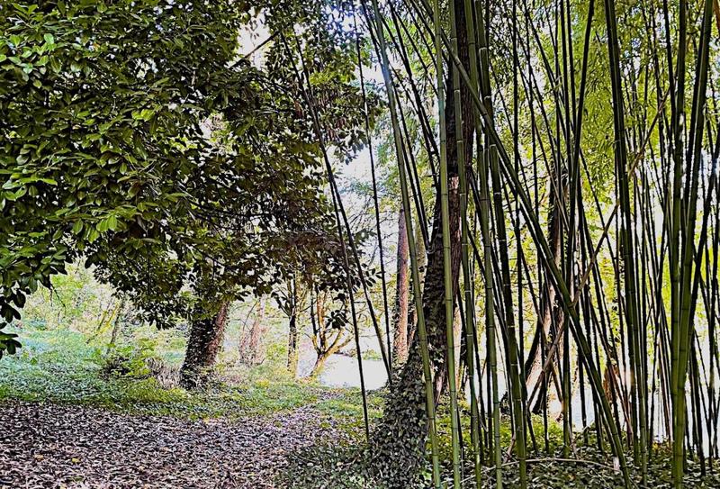 Maison de village - 90 m² - 3 pièces