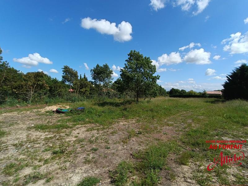 Terrain - 1 465 m²