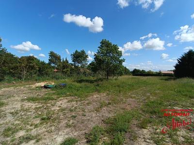 Terrain - 1 465 m²