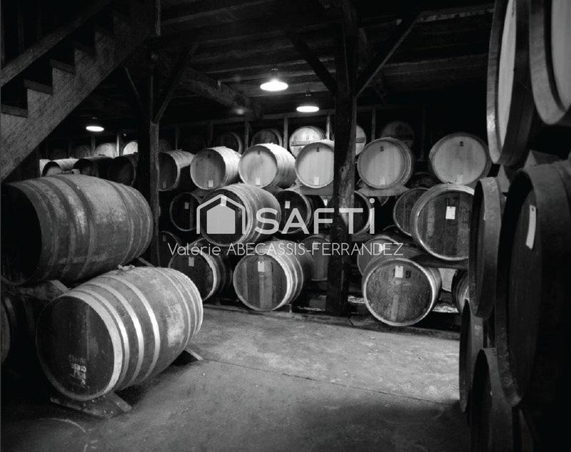 Maison - 337 m² - 8 pièces