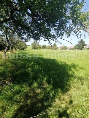 Terrain constructible - 5 115 m²