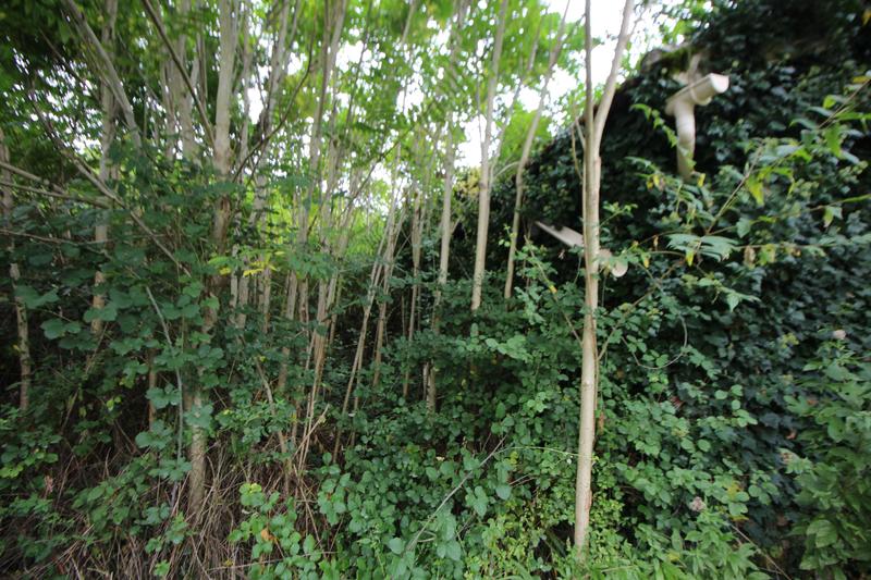 Terrain agricole - 12 873 m²