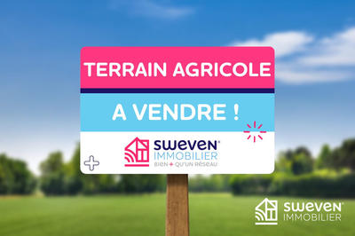 Terrain agricole - 13 439 m²