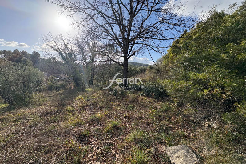 Terrain - 1 411 m²
