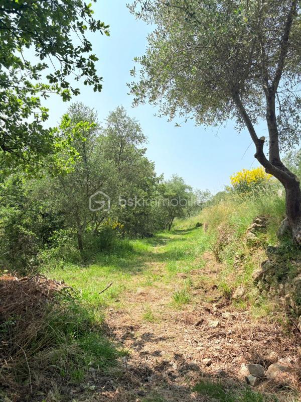 Terrain - 1 562 m²