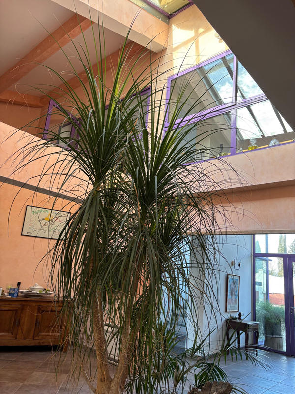 Propriété - 295 m² - 8 pièces