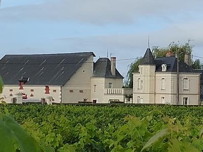 Bourgueil et entrecôte au Domaine des Mailloches