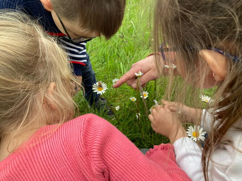 Chasse aux insectes au Jardin «bourdonnant»