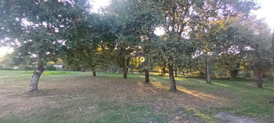 Châlet - 40 m² - 2 pièces