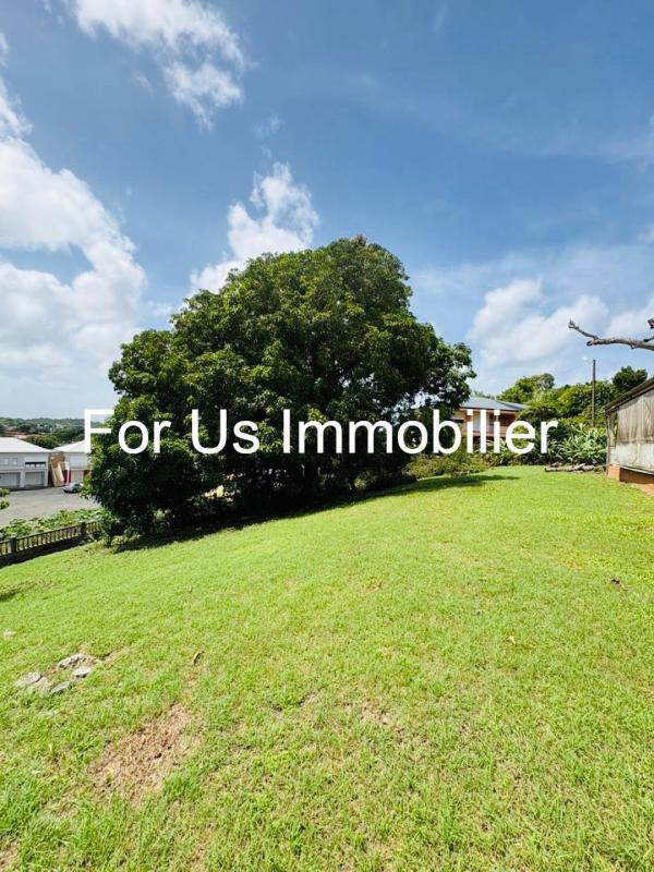 Maison - 262 m² - 8 pièces