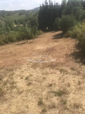 Terrain constructible - 2 714 m²