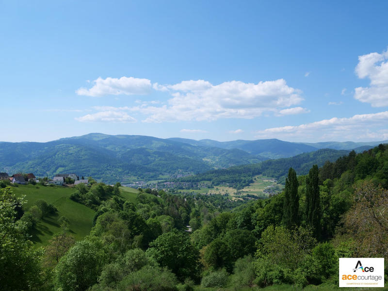 Fonds de commerce - 1 732 m²