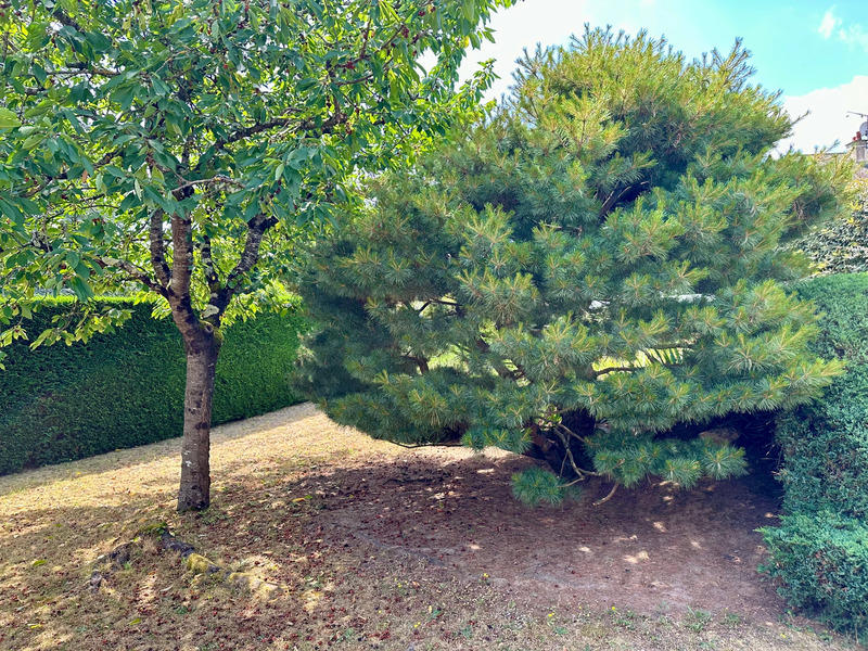 Maison - 134 m² - 7 pièces