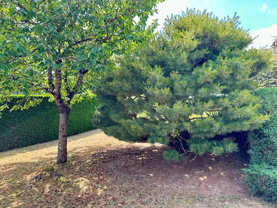 Maison - 134 m² - 7 pièces