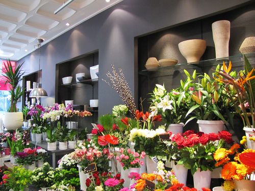 La Source aux Fleurs