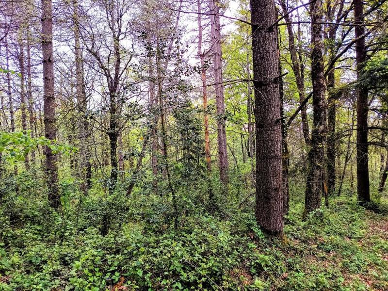 Propriété - 209 m² - 10 pièces