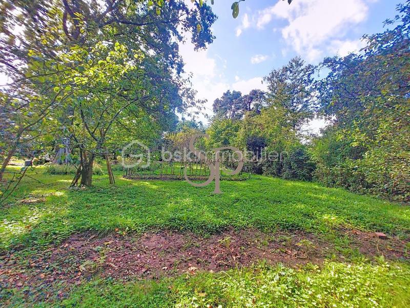 Maison de campagne - 95 m² - 4 pièces