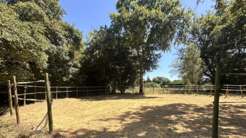 Maison - 226 m² - 8 pièces