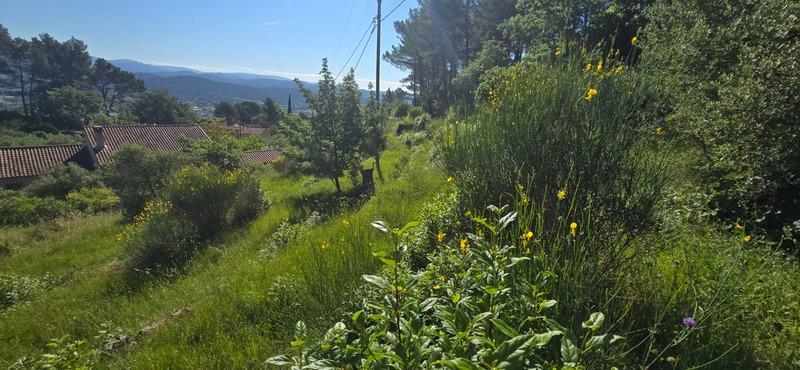 Terrain constructible - 2 000 m²