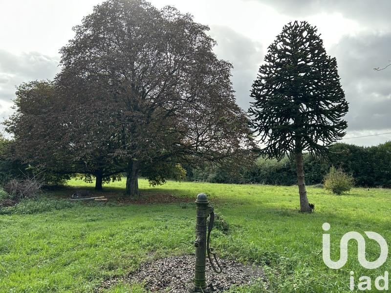 Maison - 136 m² - 5 pièces