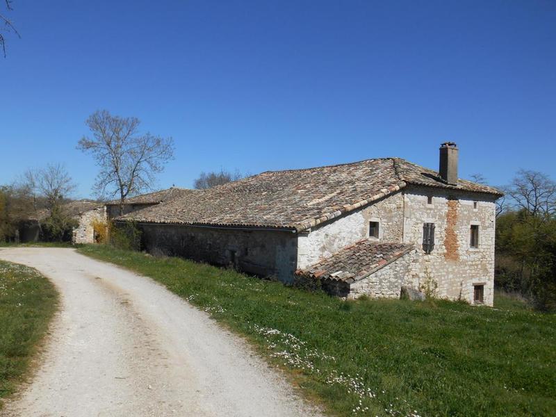 Propriété - 790 m² - 7 pièces