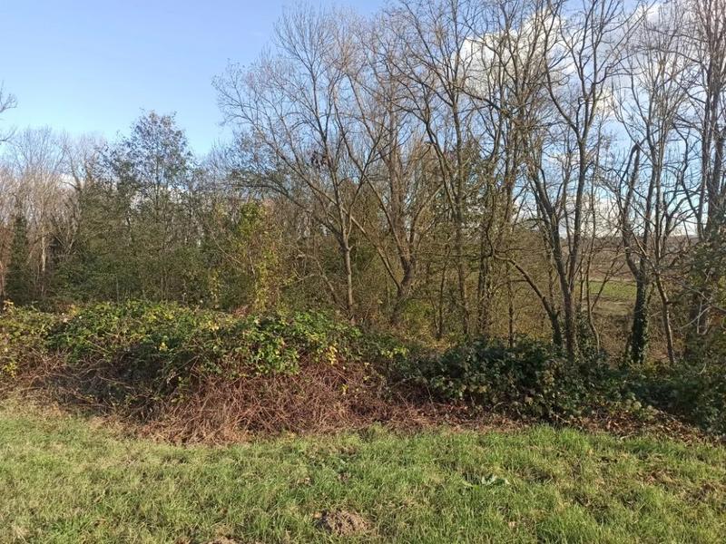 Terrain inconstructible - 2 483 m²