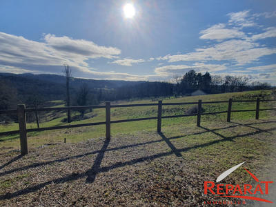 Maison ancienne - 291 m² - 12 pièces