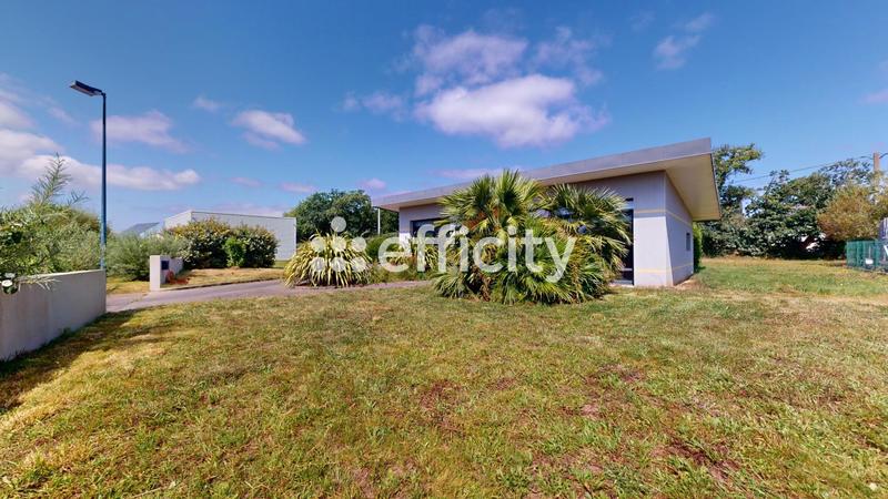 Bureau - 79 m² - 3 pièces