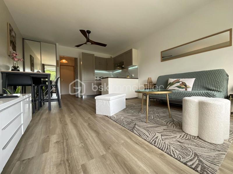 Studio - 24 m² - 1 pièce