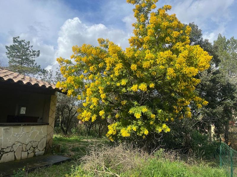 Terrain constructible - 500 m²