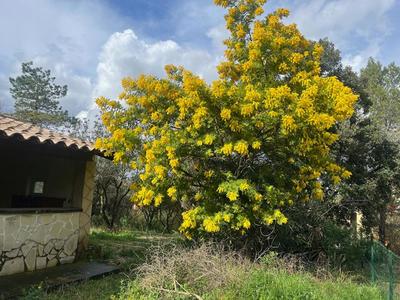 Terrain constructible - 500 m²