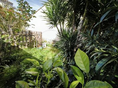 Maison de village - 140 m² - 5 pièces