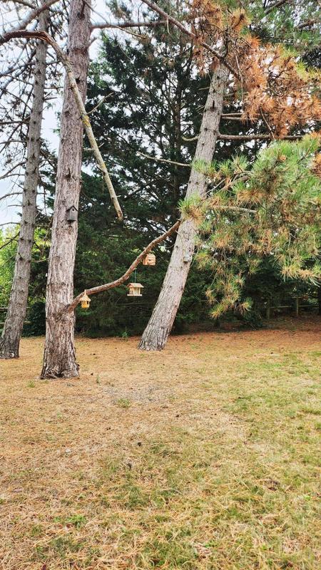 Appartement - 94 m² - 5 pièces