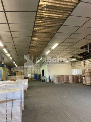 Local d'activité / Entrepôt - 630 m²