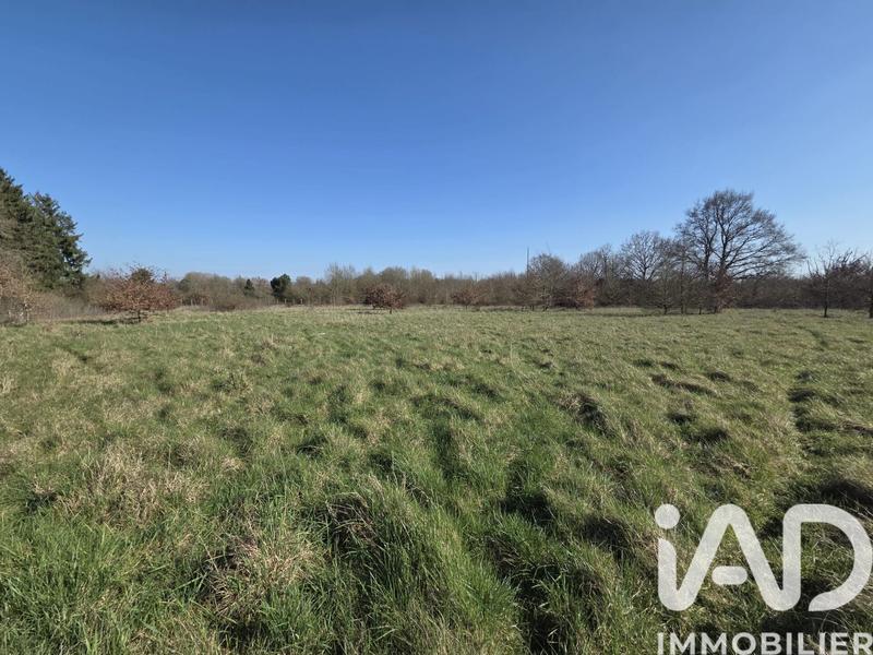 Terrain - 24 047 m²