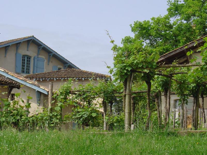 Vive les vacances : ta pâte à pain