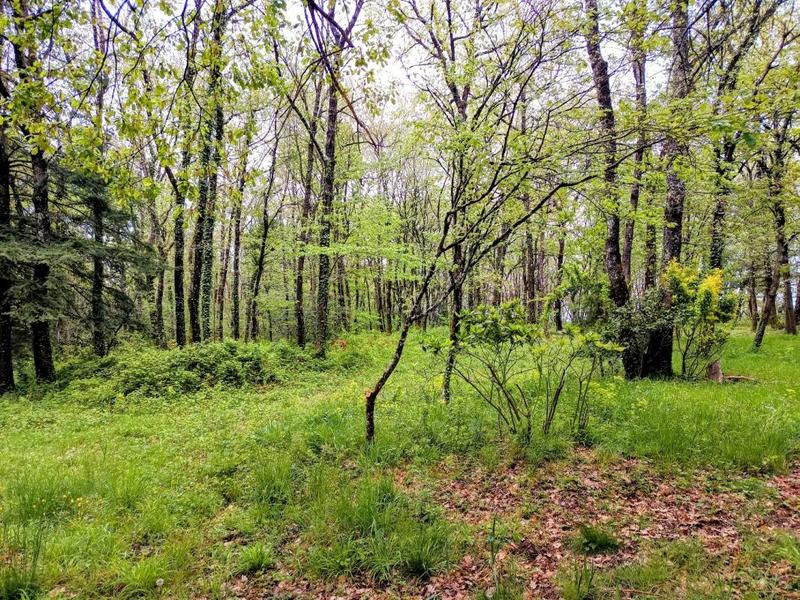 Propriété - 249 m² - 10 pièces