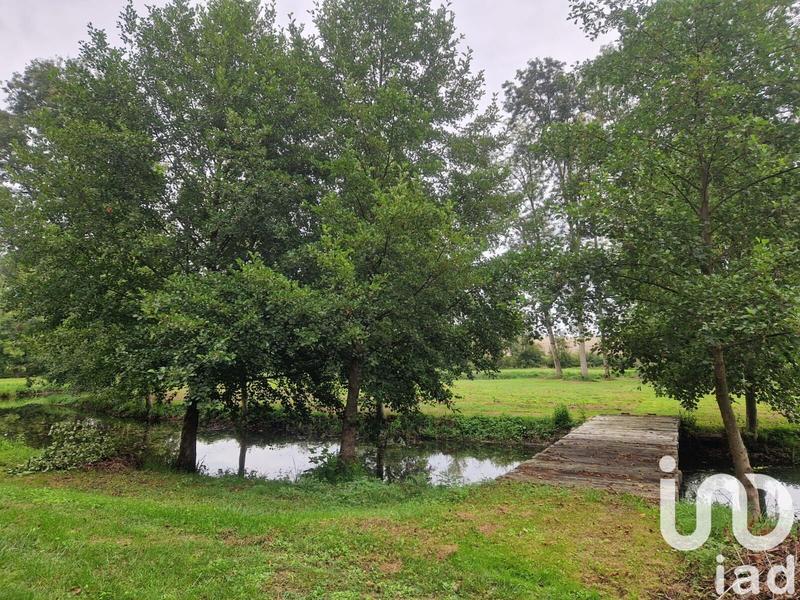 Terrain - 21 351 m²